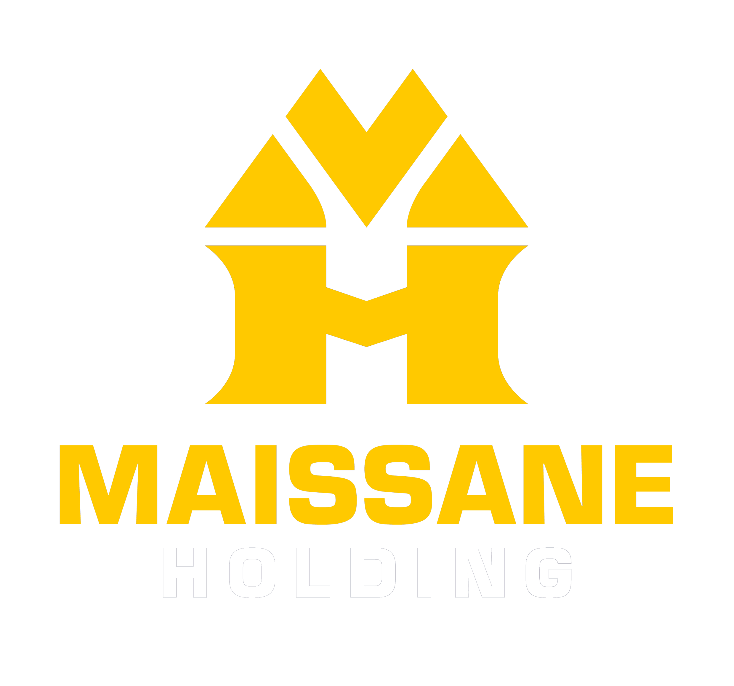 MAISSANE HOLDING 